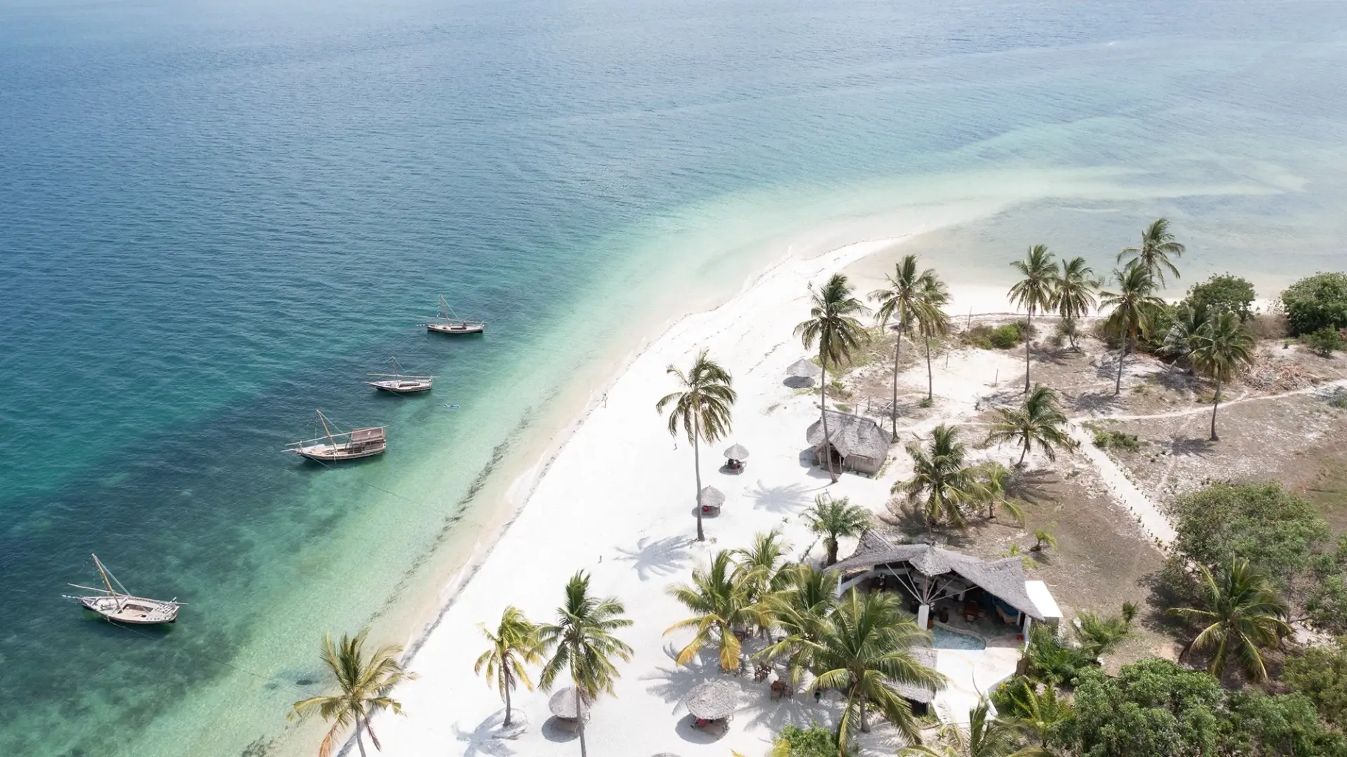 Basecamp Mafia Island – Marine Wonders & Whale Sharks